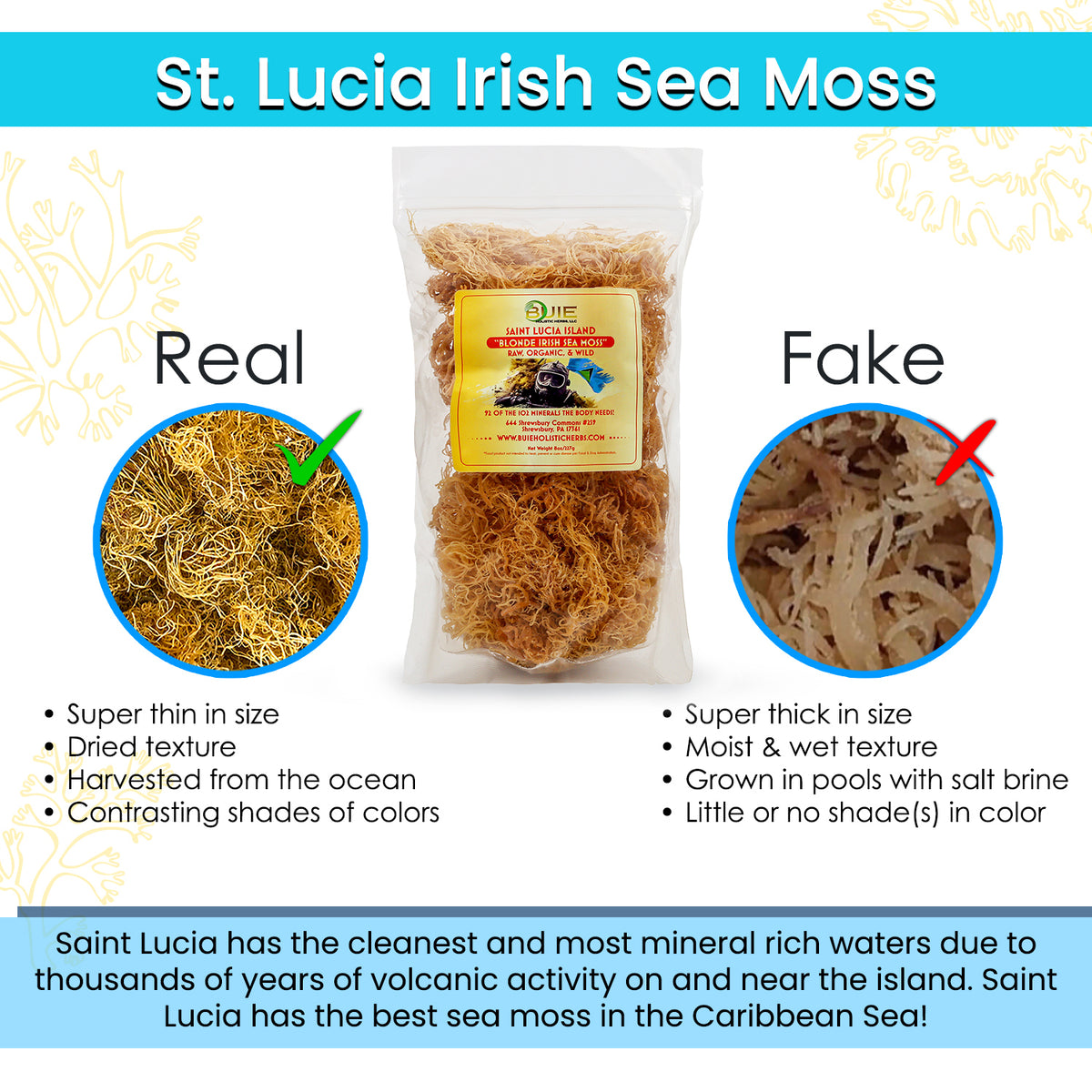 Irish Sea Moss, 8 Oz of Organic Raw Sea Moss